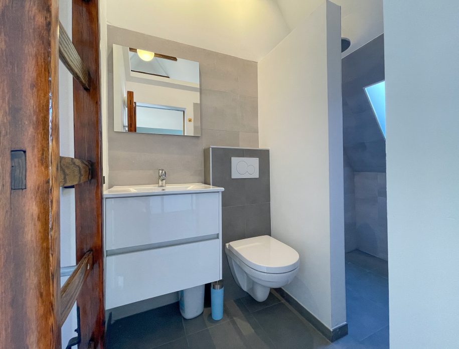 Millchamber's private bathroom with a toilet, sink, mirror and shower